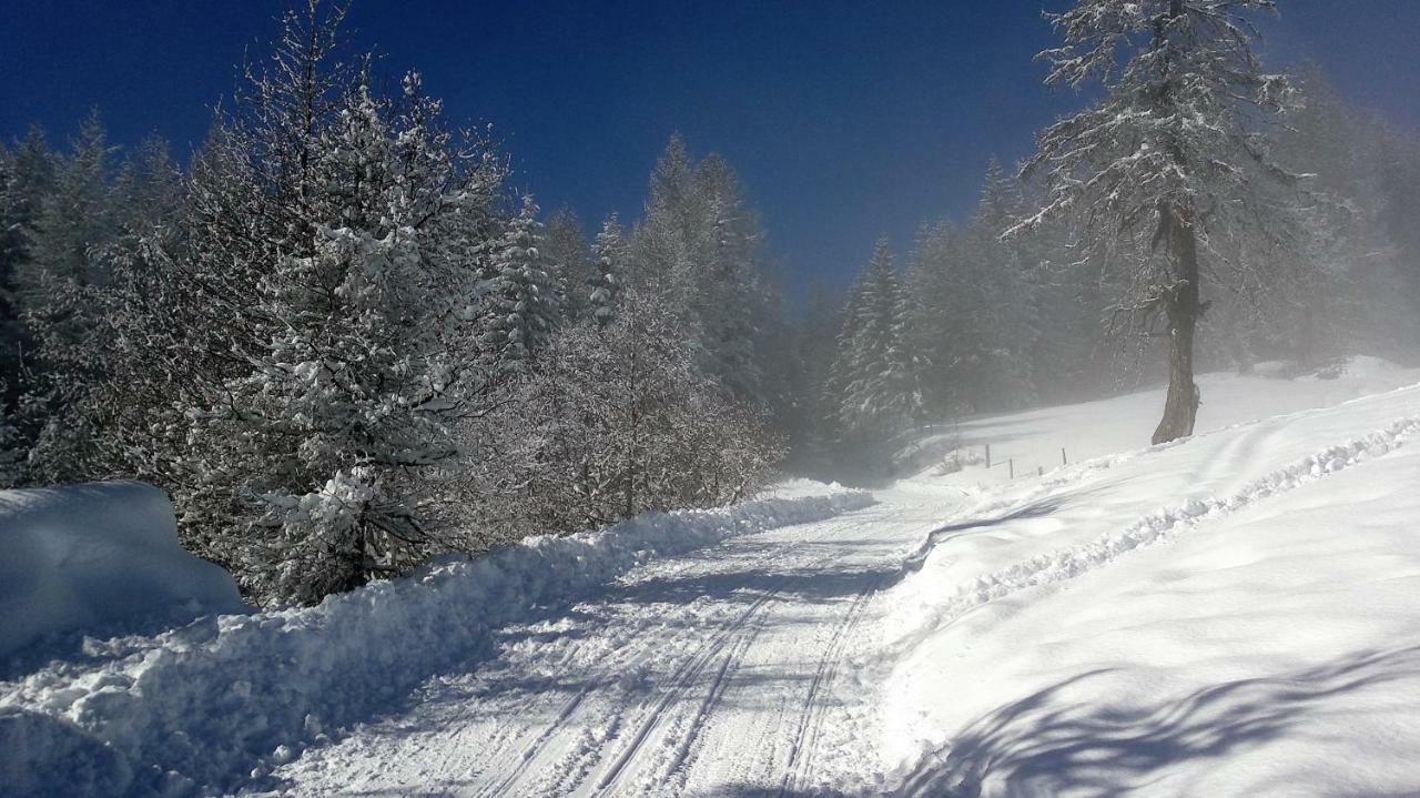 Ferienwohnung Dolomitenpanorama Oberlienz エクステリア 写真