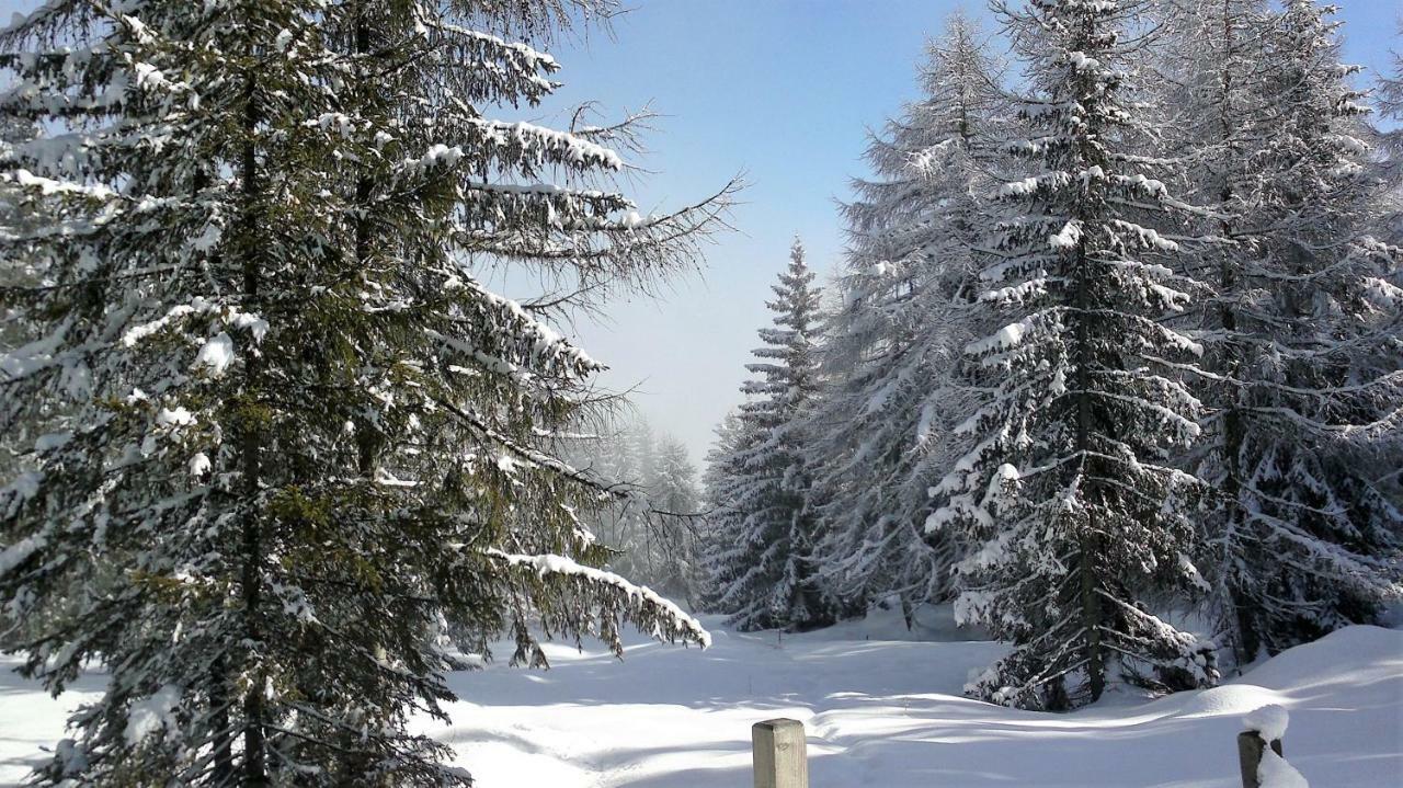 Ferienwohnung Dolomitenpanorama Oberlienz エクステリア 写真