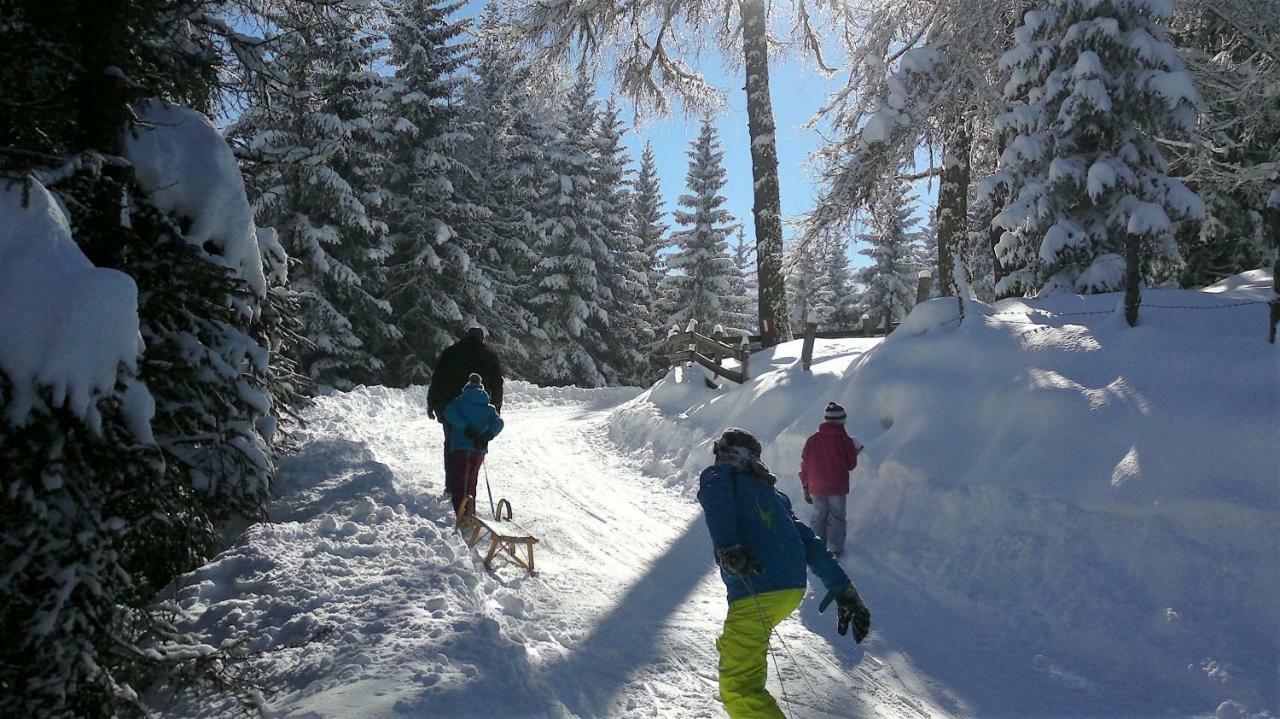 Ferienwohnung Dolomitenpanorama Oberlienz エクステリア 写真