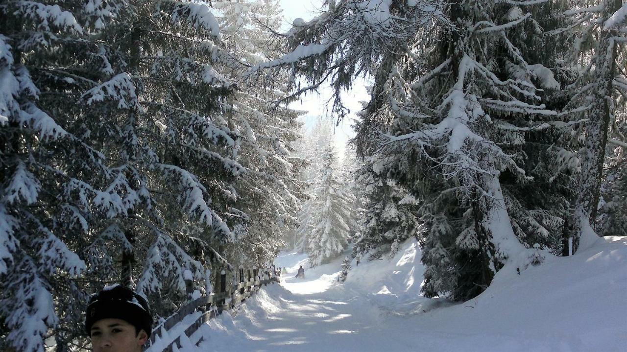 Ferienwohnung Dolomitenpanorama Oberlienz エクステリア 写真